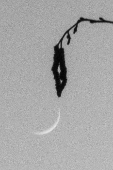 Пейзажизнь / ***