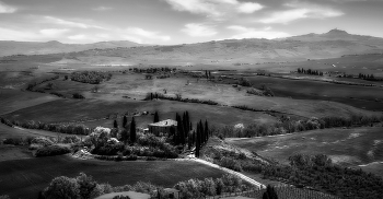 Тоскана в ч/б / ***