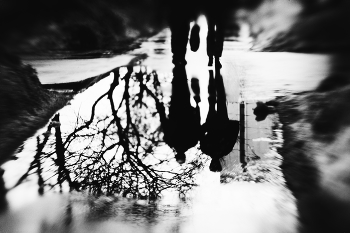 Ноша и опора / ***