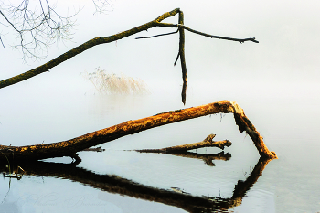 Геометрия / Геометрия