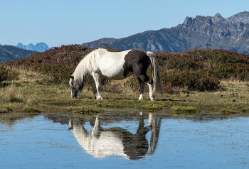 Среди гор / ***