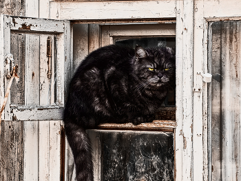форточка / Город Лесной, весна