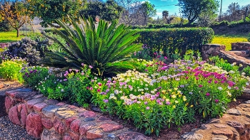 &nbsp; / Reus - Masia - Baix Camp