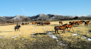 Мартовский прогон / Крым