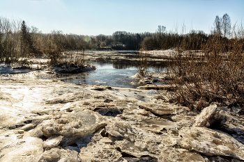 Жизнь вокруг / ***