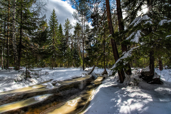 Весенний пейзаж / ***