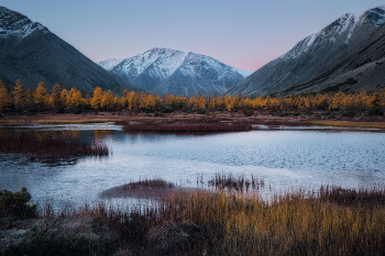 Уж небо осенью дышало / Болотце в окрестностях озера Юг. Хребет Оханджа. Сусуманский район. Колыма. Магаданская область. 07 сентября 2025