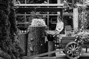 Девушка ждет / ***