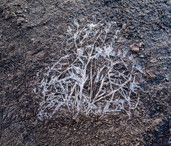 зима не сдается / ***