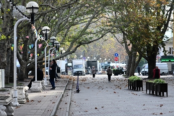 Платановая аллея / Геленджик