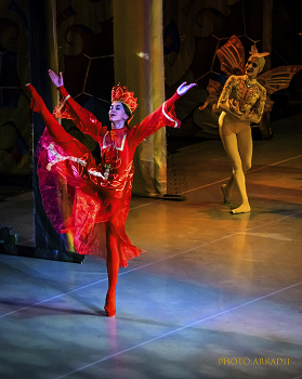 Аленький цветочек / Вчера сходил на балет...