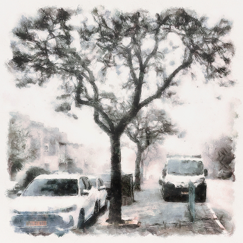 Сегодня утром... / ***