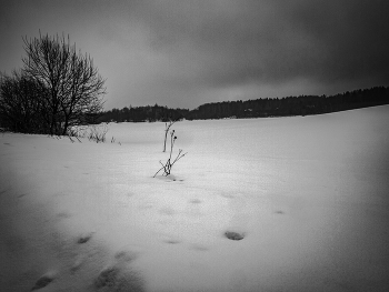 Следы / Зимние зарисовки, 2019 г.