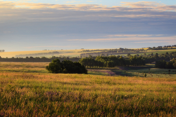&nbsp; / Июнь. Тульские просторы.