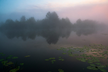 Туман. / Озеро Сосновое.