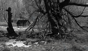 Дряхлый старец. / ***