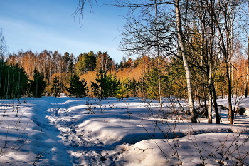 Мартовский вечер. / Томская область.
