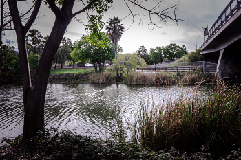 Кажется, дождь собирается.... / ......