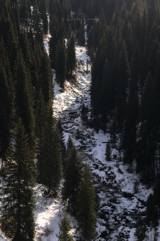 Сон горной реки... / Ущелье Алма-Арасан
Заилийский Алатау