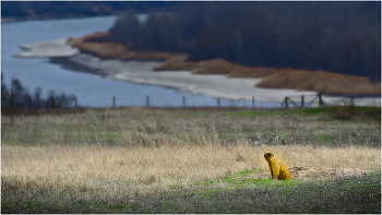 Проснулся / ***