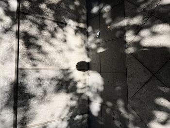 &nbsp; / Добавим теней в флешмоб:)