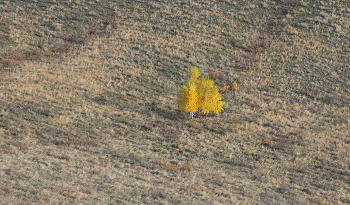 Осеннее одиночество / Природа