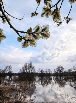 Прогулка на природу / 31 марта 2026, река Протва