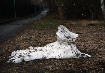 Снежный Сфинкс / ***