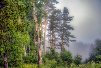 &nbsp; / Летние туманы