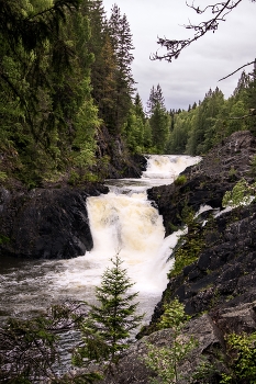 Кивач / Водопад Кивач хмурым летним днем