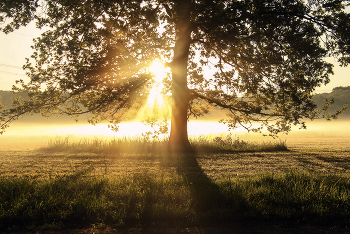 В потоках света / ***