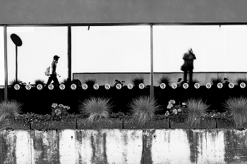 &nbsp; / ...................................