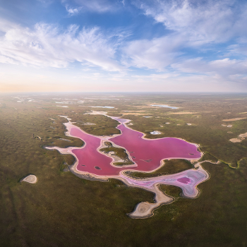 "Розовое озеро" / Во второй половине апреля в полупустынях Калмыкии, как правило, наступает лето. Вода прогревается, озера подсыхают и концентрация соли растет. Вместе с этим растет и концентрация микроорганизмов - архей и бактерий, которые и придают воде необычную окраску. Но любоваться розовыми озерами долго не получится. К концу мая они обычно полностью высыхают.
Тур в Калмыкию на розовые озера вот здесь arskashkarov.com/kalmykia