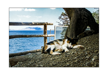 &nbsp; / Таити, Таити… Не были мы ни в какой Таити! Нас и здесь неплохо кормят!