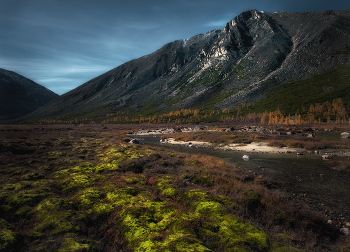 Мшистый берег вдоль речки студёной / Окрестности озера Юг. Речка Быстрая. Хребет Оханджа. Сусуманский район. Магаданская область. 07 сетября 2025