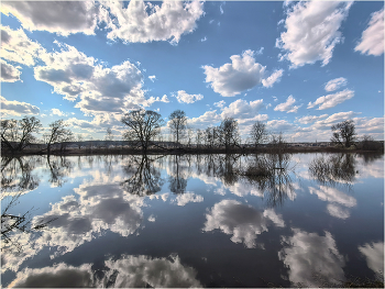 На Протве. 04.04.26 / Река Протва, 4 апреля 2026.