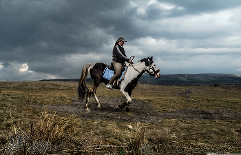 Рябоконь / Крым