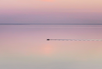 залив / залив