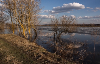 Озеро Долгое, весна. / Весенний сюжет из Подмосковья.
