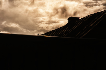 Жизнь вокруг / ***