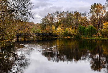 Осенний день / Парк Покровское-Стрешнево