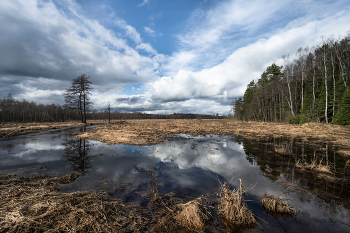 весенний паводок / ***
