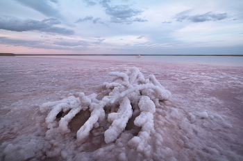 "Солевой коралл" / Веточки, обросшие слоем соли, иногда бывают самых причудливых форм.
Актуальную информацию о своих фототурах я размещаю на канале t.me/arskashkarov