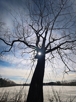 Чудовище / ***
