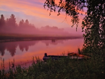 Розовый туман / ***