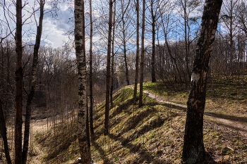 Солнечная тропинка / ***
