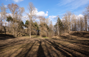 Весенняя прозрачность / ***