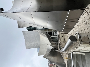&nbsp; / Walt Disney Concert Hall by Frank Gehry in Los Angeles