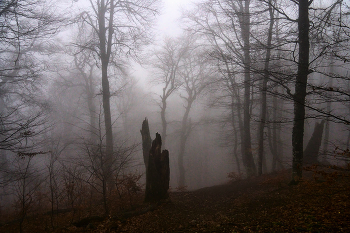 &nbsp; / Крым. Чатыр-Даг
