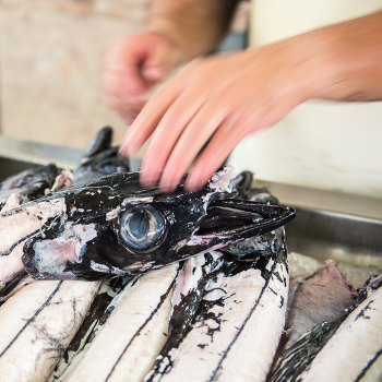 Рыбное место 2 / ***